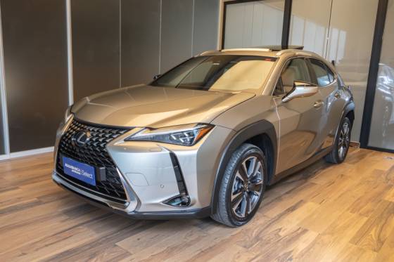 LEXUS UX 250h 2.0 VVT-I HYBRID LUXURY CVT LEXUS UX 250h 2.0 VVT-I HYBRID LUXURY CVT